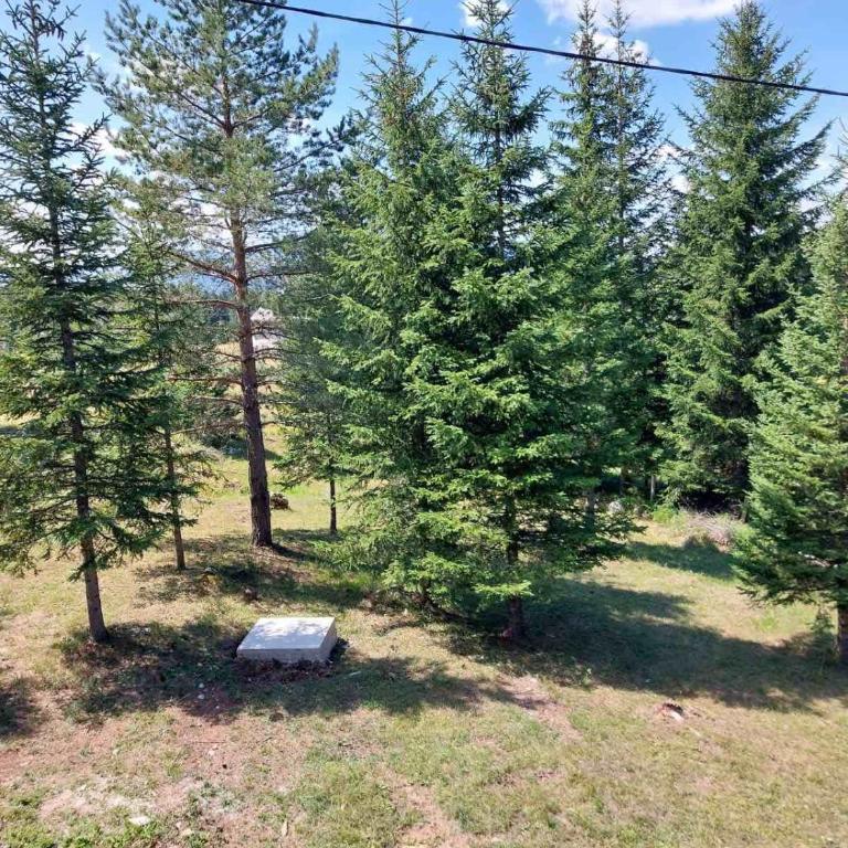 Golden view 2 - Two-Bedroom Chalet - 14