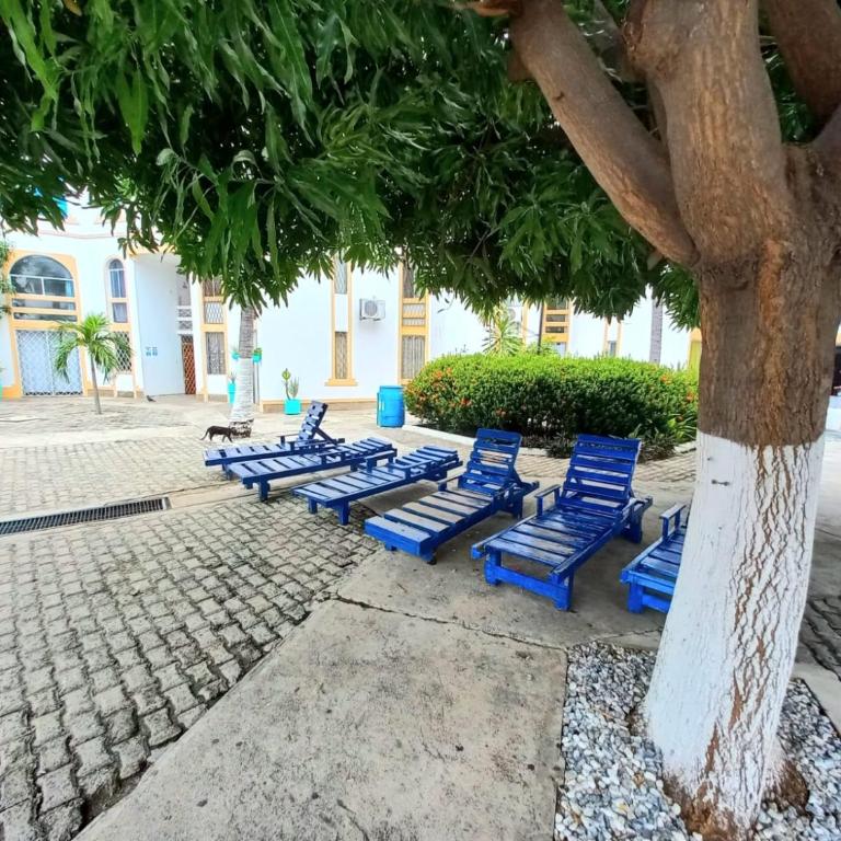 APARTAMENTO RODADERO MAR ARRECIFES In - Apartamento de 2 dormitorios - 16