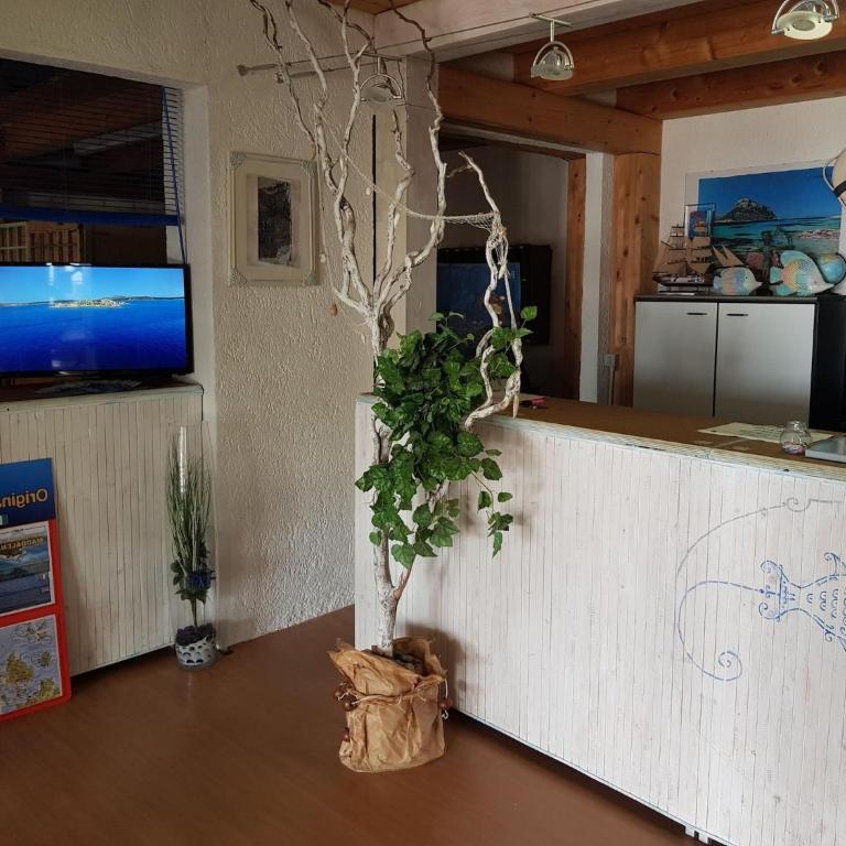 Apartment for 6-people in Olbia with garden - Two-Bedroom Apartment - 6