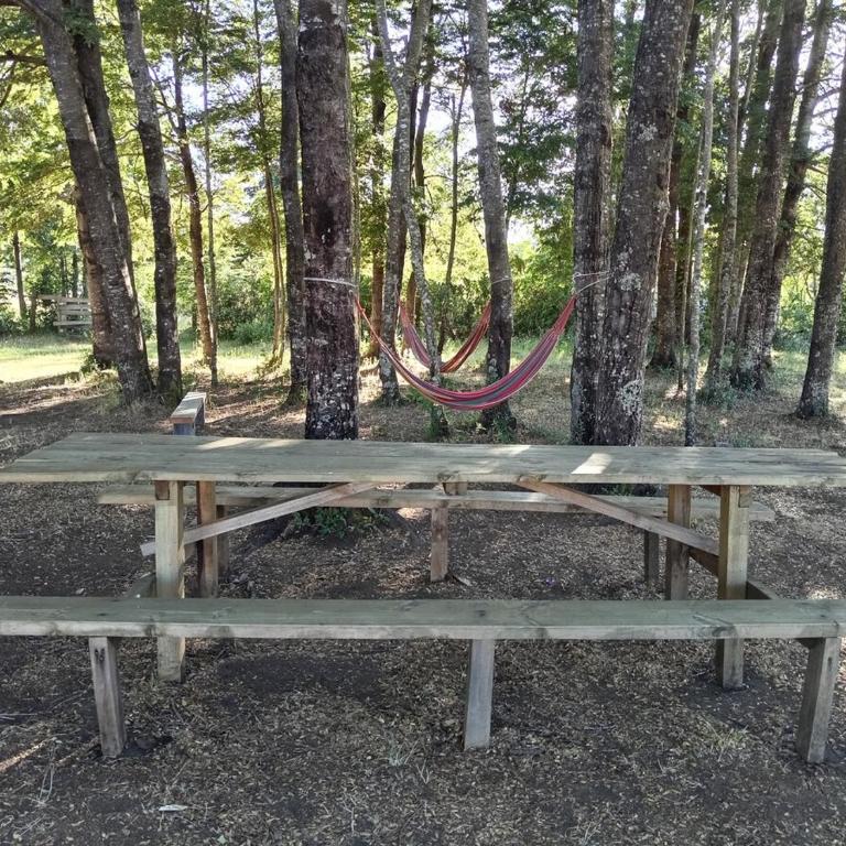 Cabaña en Choshuenco con Tinaja - Apartamento de 3 dormitorios - 5