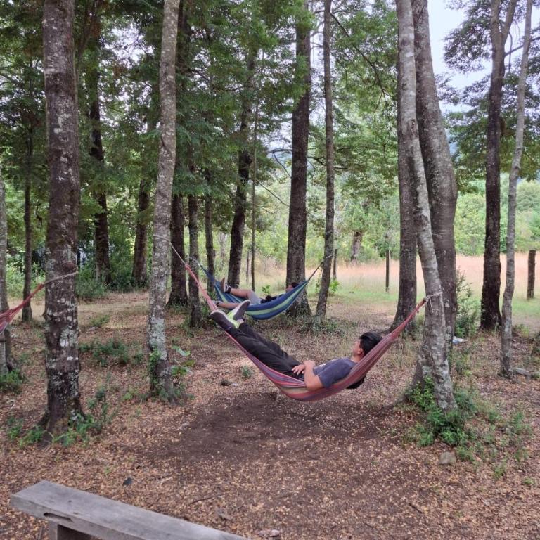 Cabaña en Choshuenco con Tinaja - Apartamento de 3 dormitorios - 3