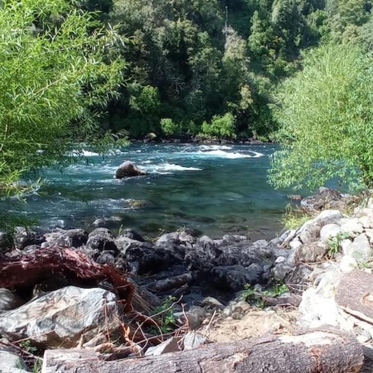 Cabaña en Choshuenco con Tinaja - Apartamento de 3 dormitorios - 2