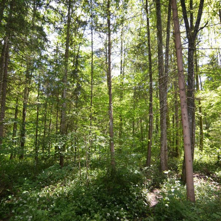 Uriger Komfort, Alpenparadies - Appartamento con 3 Camere da Letto - 18