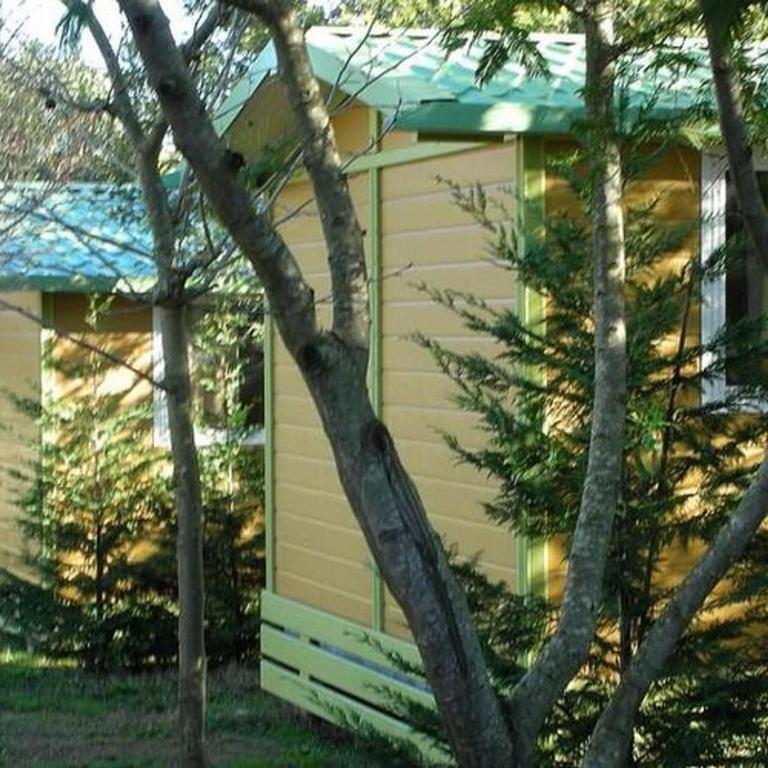 Chalet à Bormes-les-Mimosas avec terrasse - API-1-52-273 - Chalet - 3