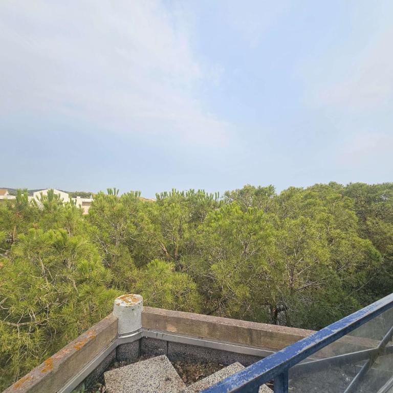 Appartement 2 pièces avec terrasse et piscine à Balaruc-les-Bains - FR-1-553-311 - Apartment - 16