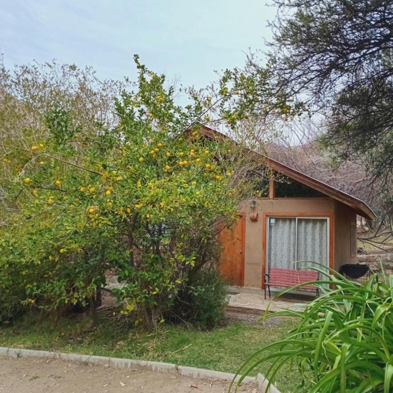 Cabañas Los Sauzales del Elqui - Two-Bedroom House - 4