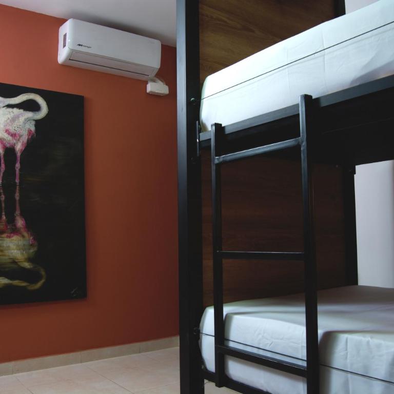 Bohemia Boutique Hostel - Cama en habitación femenina compartida de 4 camas - 4
