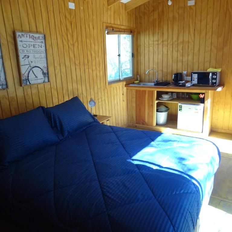 Cabañas Los Sauzales del Elqui - One-Bedroom House - 4