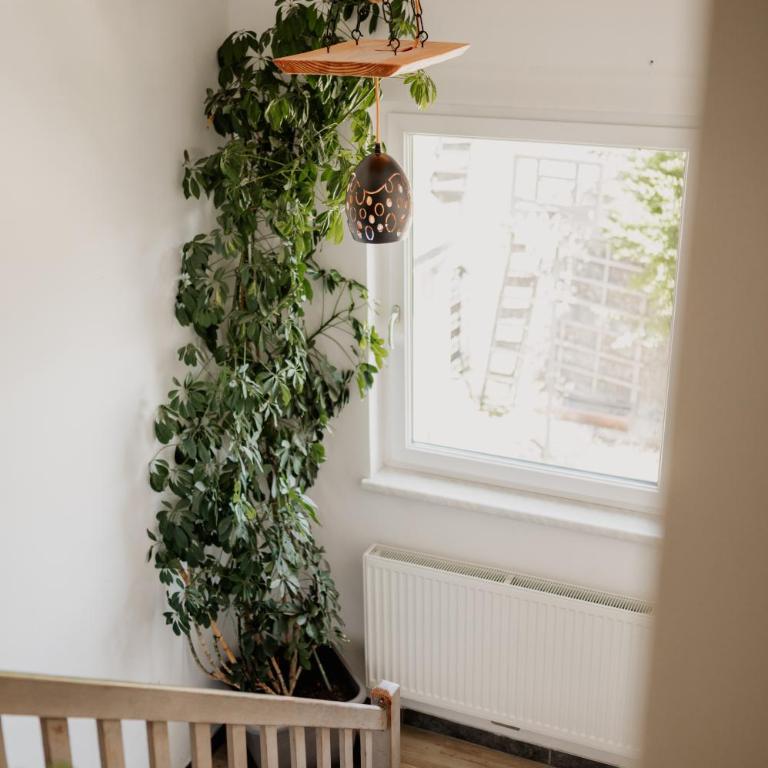 Ferienhaus Elisabeth Spielberg - Ferienhaus mit 4 Zimmern - 23