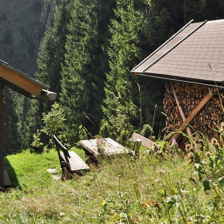 Chalet in Kolbnitz near Ski Slopes - Chalet mit 2 Schlafzimmern - 11