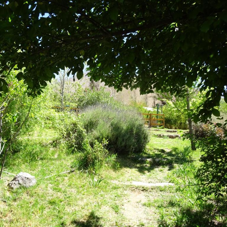 Cabañas Los Sauzales del Elqui - Two-Bedroom House - 18
