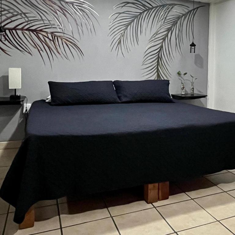 La Puerta Blanca #3 - One-Bedroom Apartment - 11