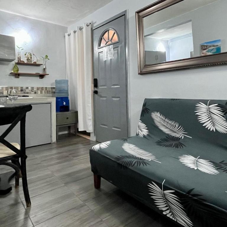 La Puerta Blanca #3 - One-Bedroom Apartment - 13