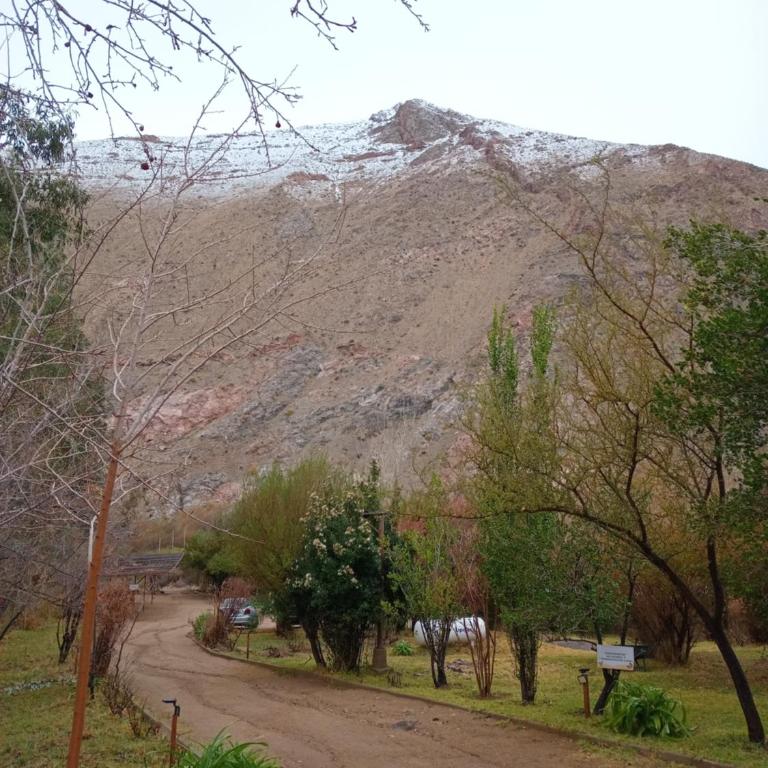 Cabañas Los Sauzales del Elqui - Two-Bedroom House - 17