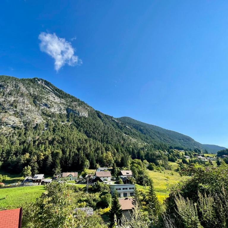 Sweet Mountain Home - Apartment mit 1 Schlafzimmer - 35