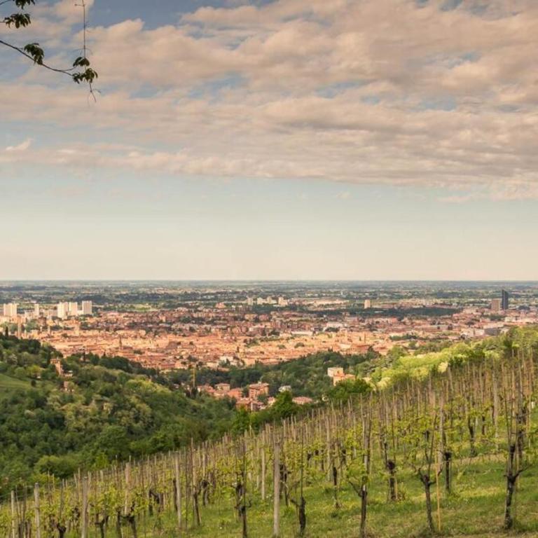 La Ginevra Boutique Home in Bologna - Appartamento con 2 Camere da Letto - 40