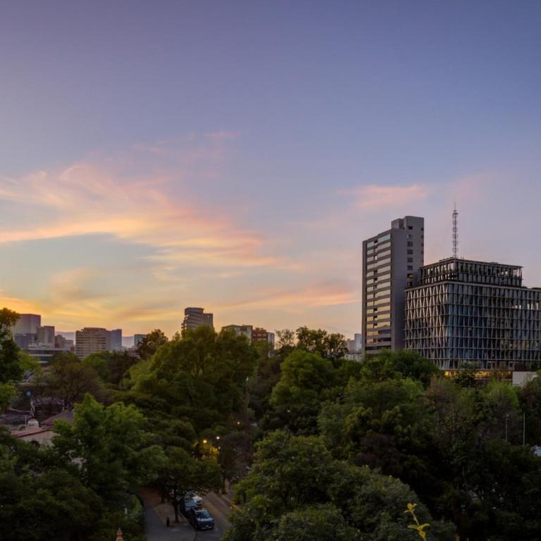 Luxury loft in Polanco CDMX - One-Bedroom Apartment - 17