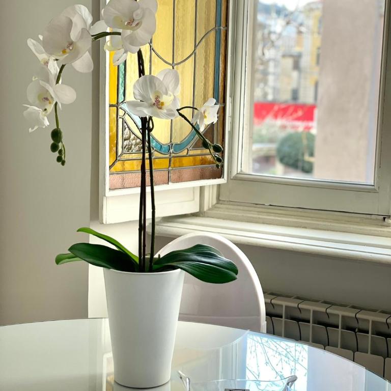 Suite Mole Antonelliana - Studio with Balcony - 43