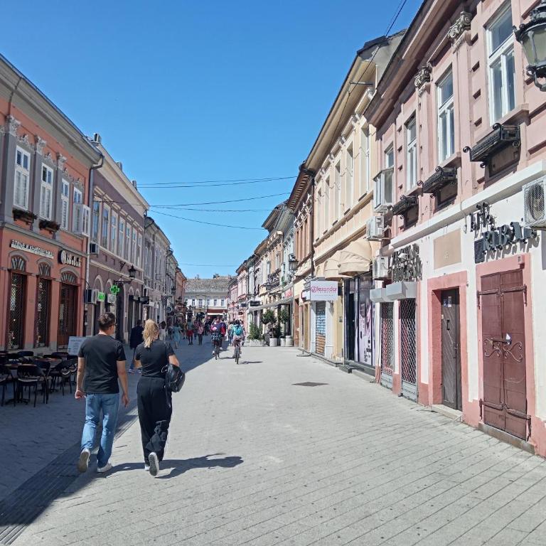 Centar Harmony 1 - Apartman sa Terasom - 3