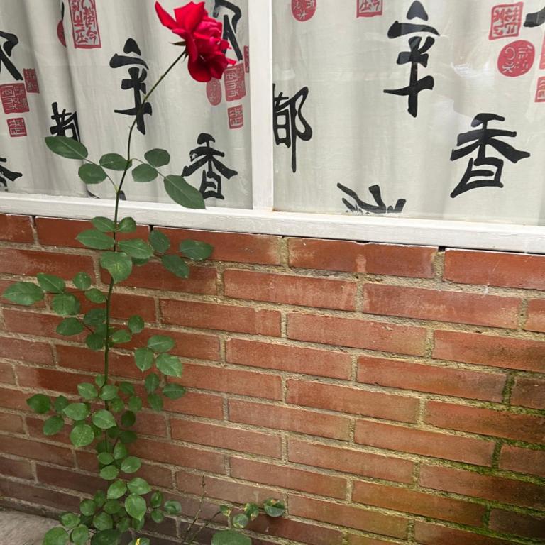 Habitaciones Torre Samsung Cra Septima con Calle 113 - Habitación Doble Estándar con baño compartido - 6