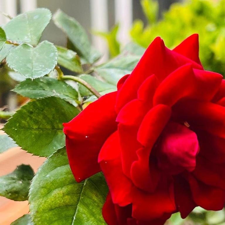 Habitaciones Torre Samsung Cra Septima con Calle 113 - Estudio - 3