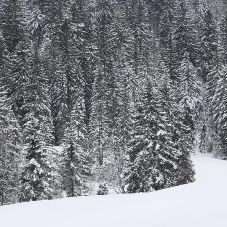 Le souffle des sapins - Apartamento de 2 dormitorios con vistas a la montaña - 27