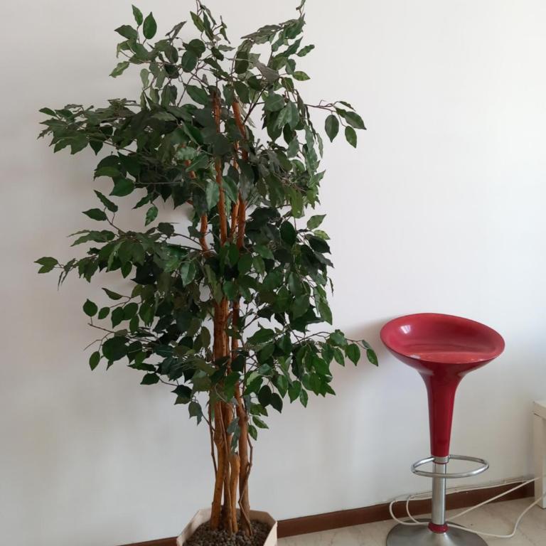 Martesana 4 - Appartamento con 2 Camere da Letto - 4