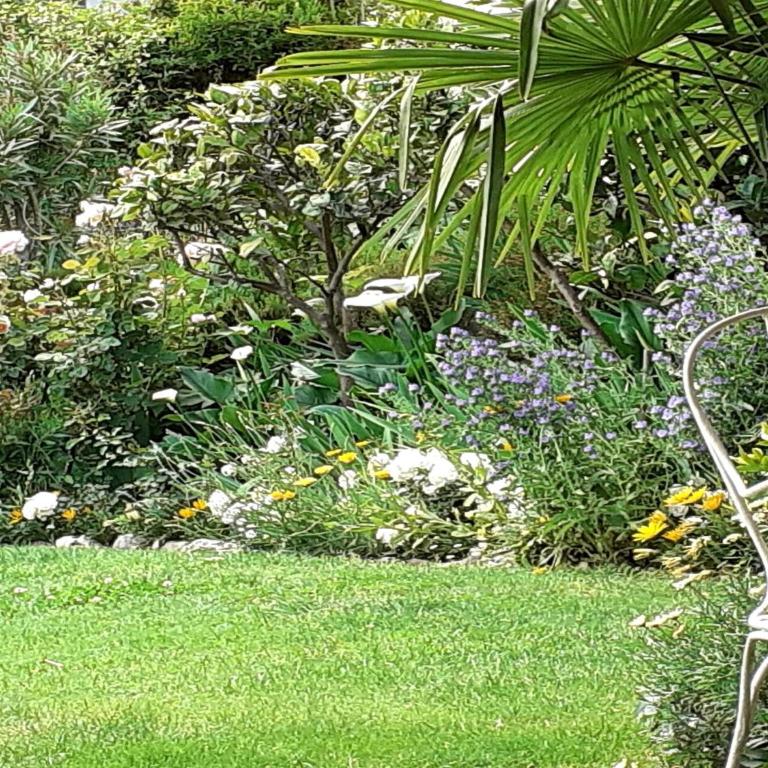 Chalet by Lake Maggiore with Garden Views - Casa Vacanze con 1 Camera da Letto - 18