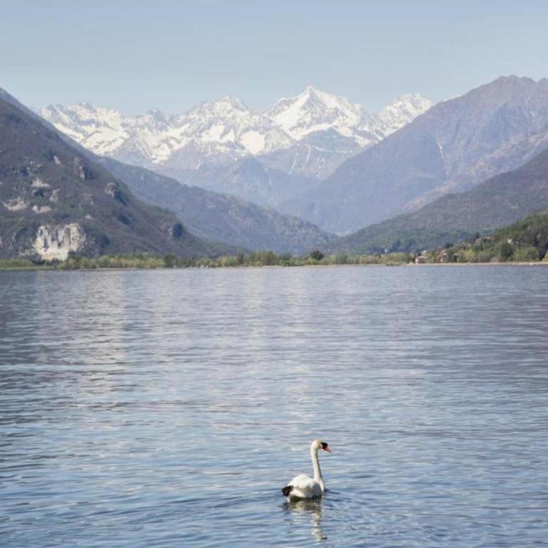 Chalet by Lake Maggiore with Garden Views - Casa Vacanze con 1 Camera da Letto - 22