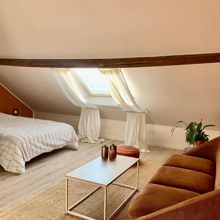 Chaleureuse et spacieuse chambre, sdb privative - Chambre Double Supérieure - 1