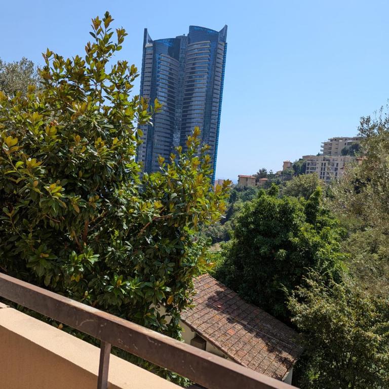 Appartement calme piscine prox Monaco - Appartement 1 Chambre avec Terrasse - 3