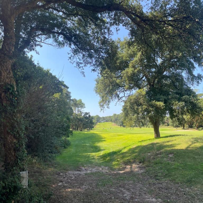 Ocean and forest golf studio - Appartement 1 Chambre - 14