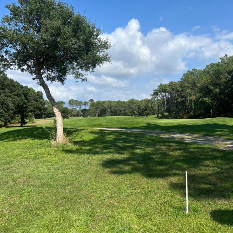 Ocean and forest golf studio - Appartement 1 Chambre - 16