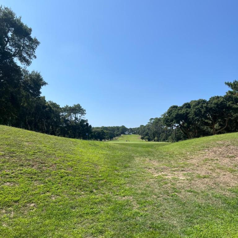 Ocean and forest golf studio - Appartement 1 Chambre - 13