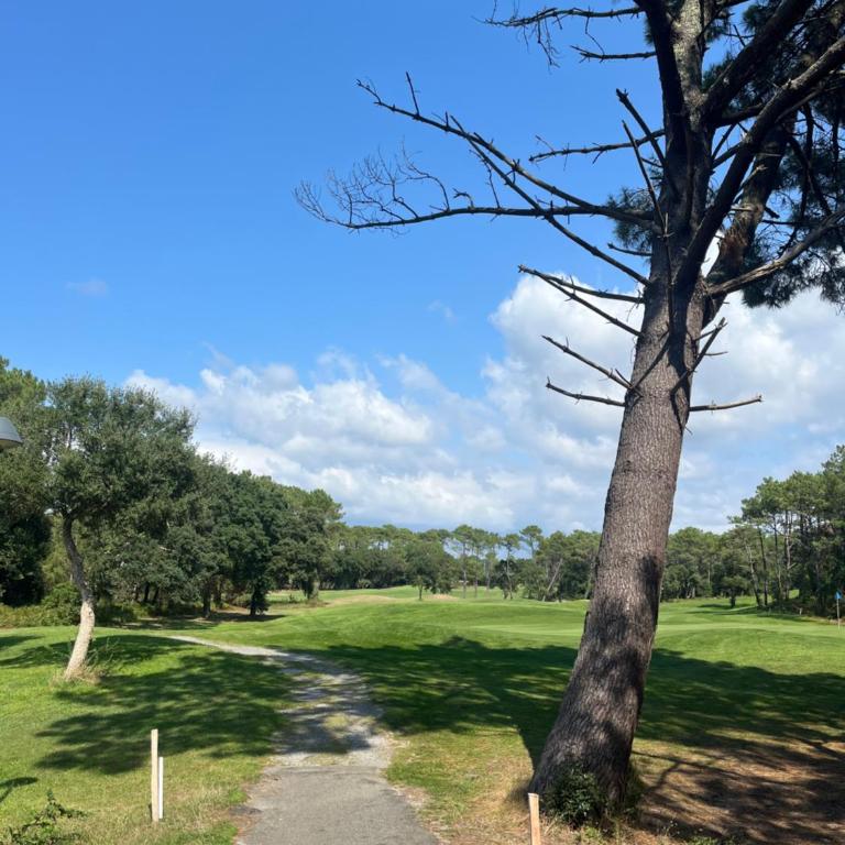 Ocean and forest golf studio - Appartement 1 Chambre - 15