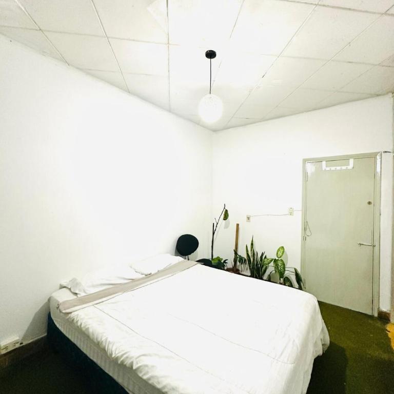 DEPARTAMENTO INDEPENDIENTE CON 2 DORMITORIOs - Apartamento de 2 dormitorios - 2