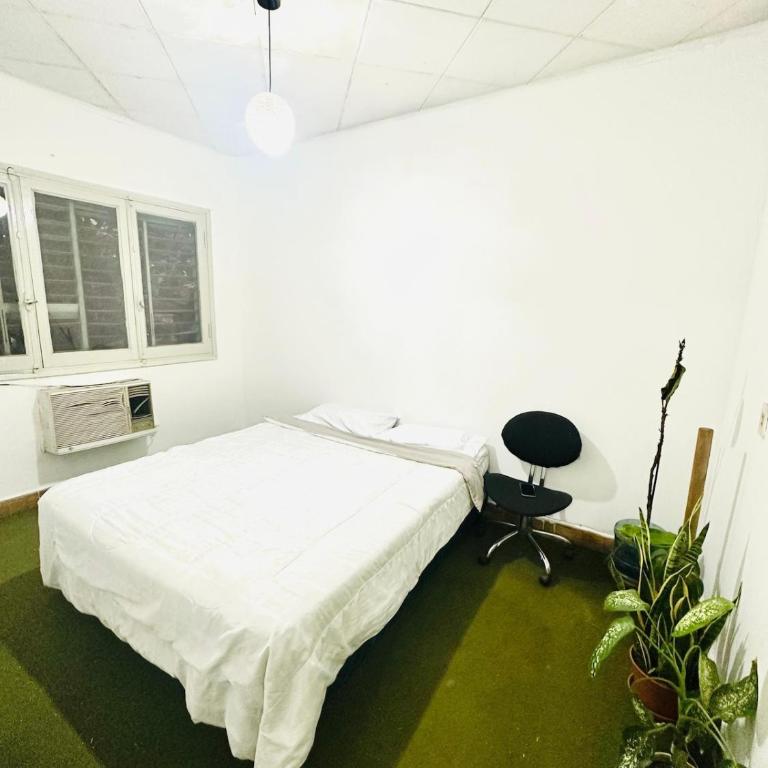 DEPARTAMENTO INDEPENDIENTE CON 2 DORMITORIOs - Apartamento de 2 dormitorios - 10