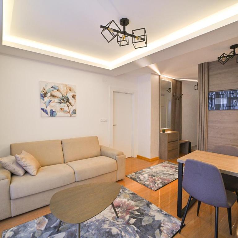 ALEX Apartment Zlatibor - One-Bedroom Apartment with Terrace - 26