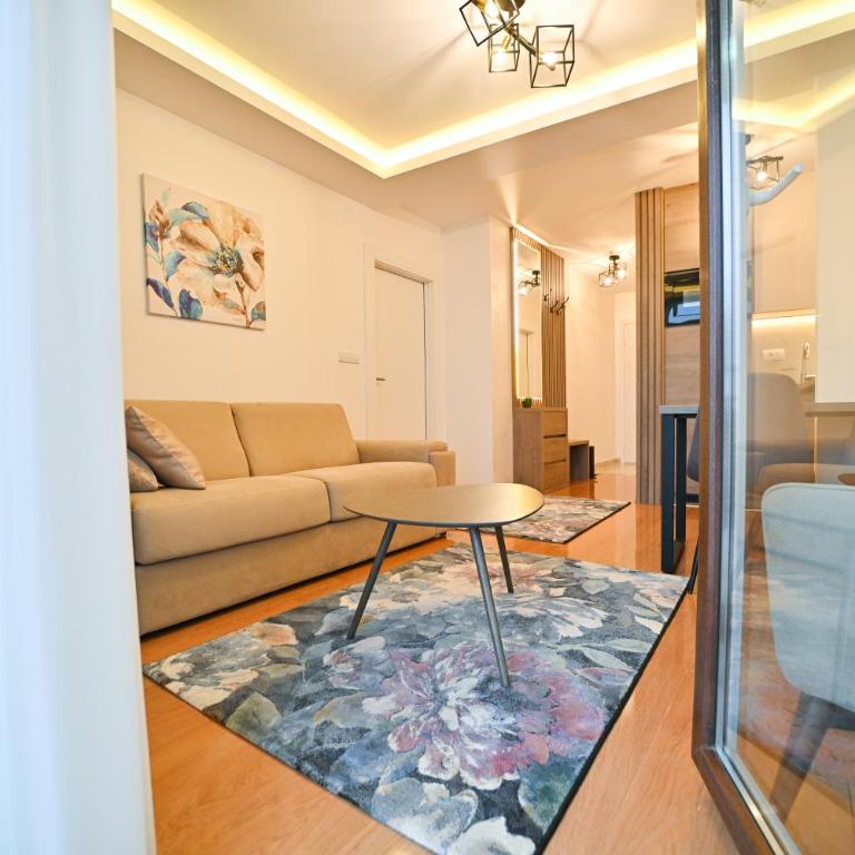 ALEX Apartment Zlatibor - One-Bedroom Apartment with Terrace - 27
