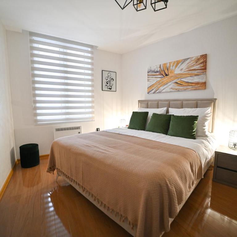 ALEX Apartment Zlatibor - One-Bedroom Apartment with Terrace - 17