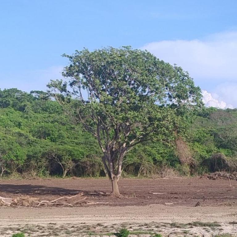 Comfortable apartment near the beach Manzanillo Sector - Two-Bedroom Apartment - 22