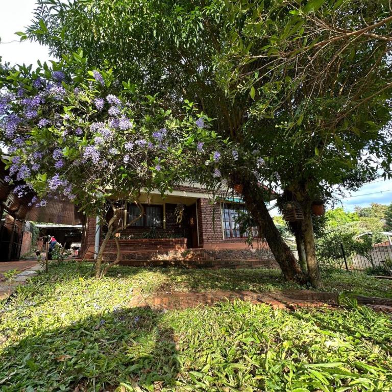 La Rosa House - Central house in Eldorado - Three-Bedroom House - 4
