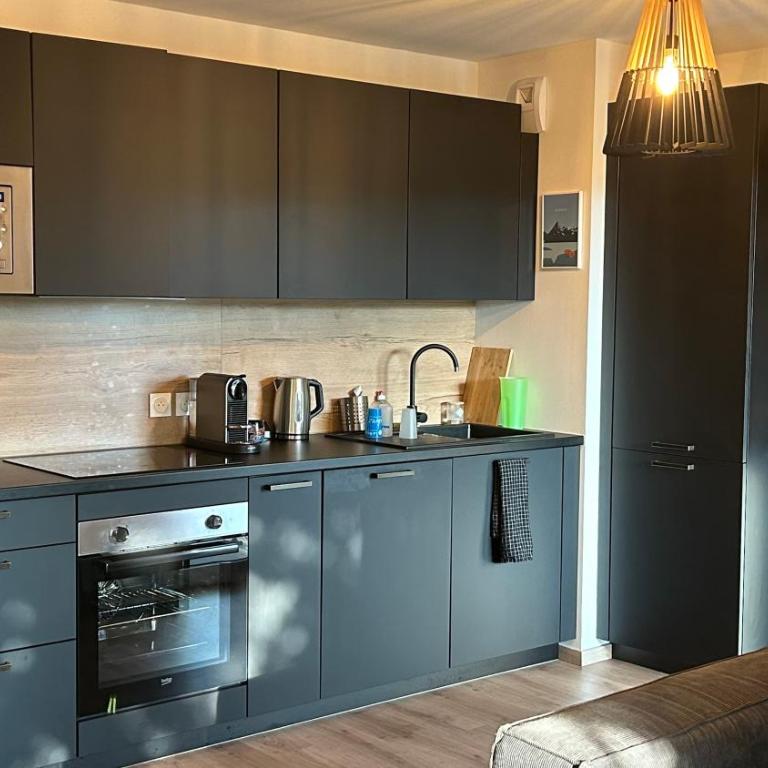 bel appartement proche centre et lac - Appartamento con 2 Camere da Letto - 8