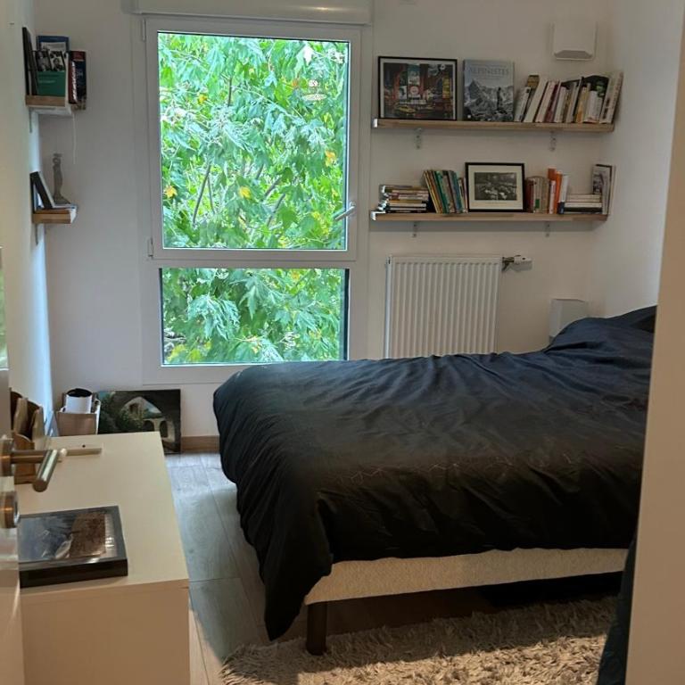 bel appartement proche centre et lac - Appartamento con 2 Camere da Letto - 14