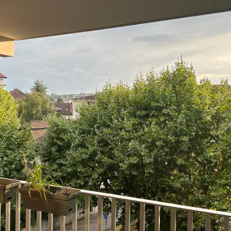 bel appartement proche centre et lac - Appartamento con 2 Camere da Letto - 16