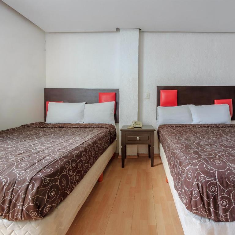 Capital O Hotel Colon Express Guadalajara - Habitación Estándar - 2 camas - 3