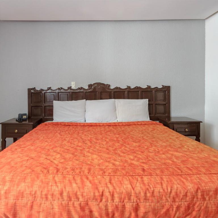 Capital O Hotel Colon Express Guadalajara - Estándar - 6