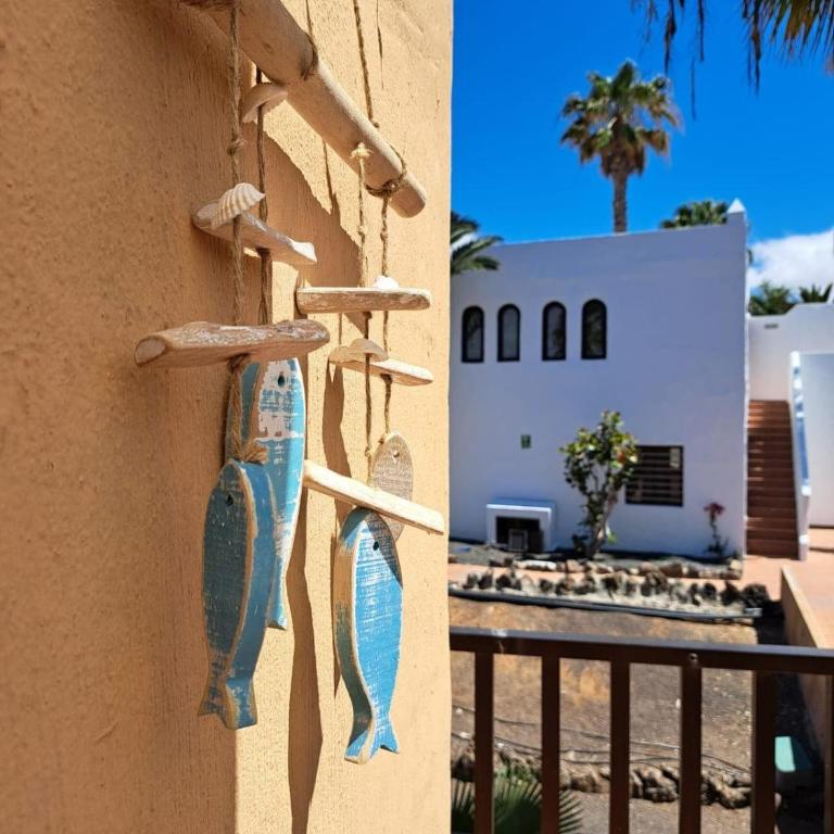 Oasis en Corralejo - Apartamento de 2 dormitorios - 3