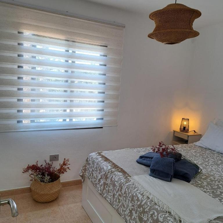 Oasis en Corralejo - Apartamento de 2 dormitorios - 8