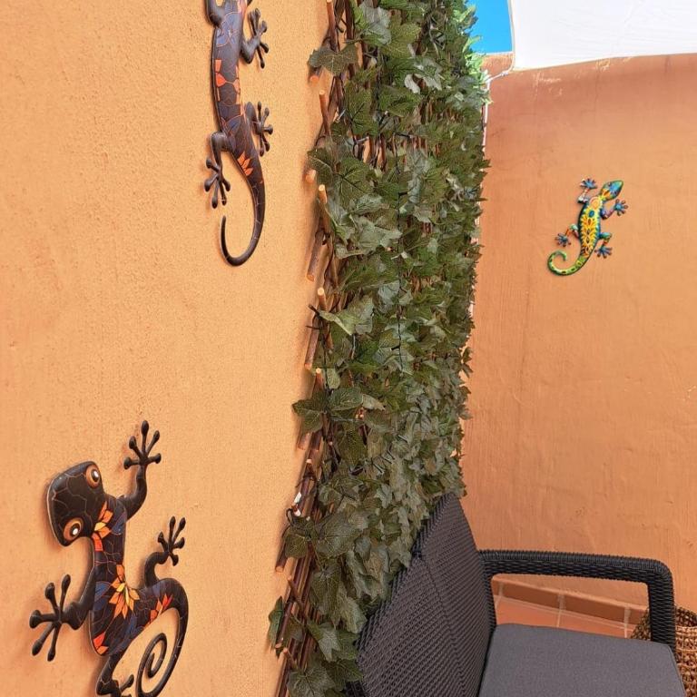 Oasis en Corralejo - Apartamento de 2 dormitorios - 13
